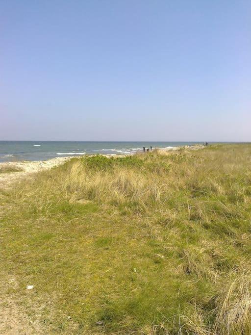 Erholung Auf Dem Land Zwischen Ostsee Und Schlei Stoltebüll المظهر الخارجي الصورة