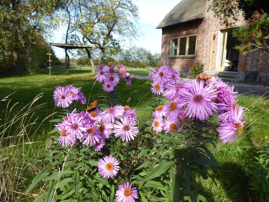 Erholung Auf Dem Land Zwischen Ostsee Und Schlei Stoltebüll المظهر الخارجي الصورة